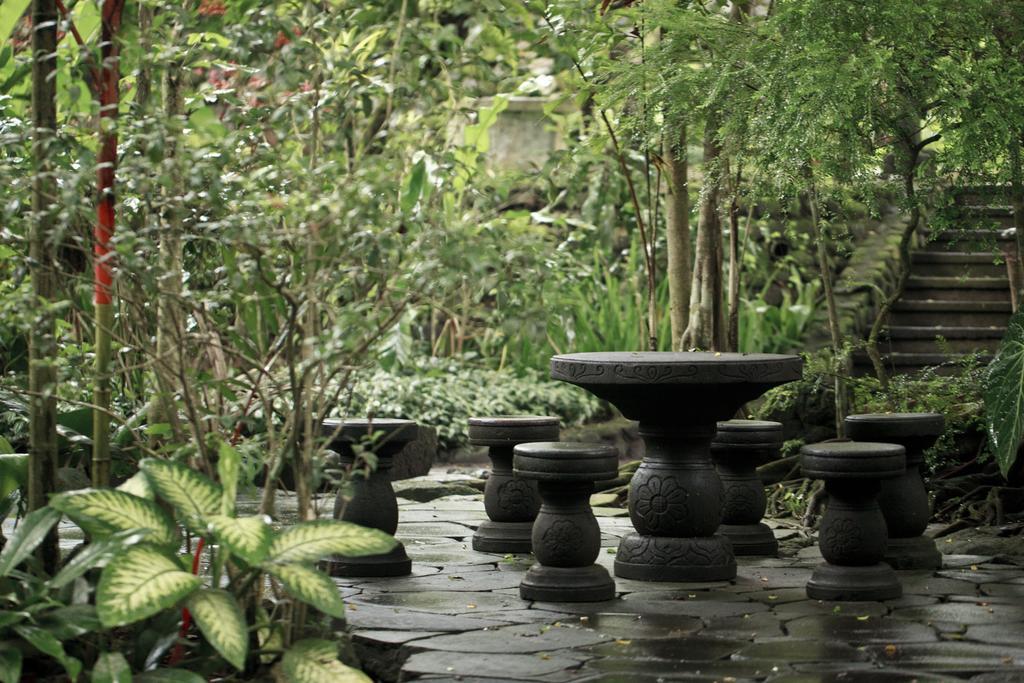 Omah Pakem Hotel Phòng bức ảnh